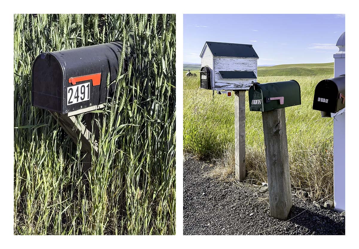 BCJ Spring in the Palouse