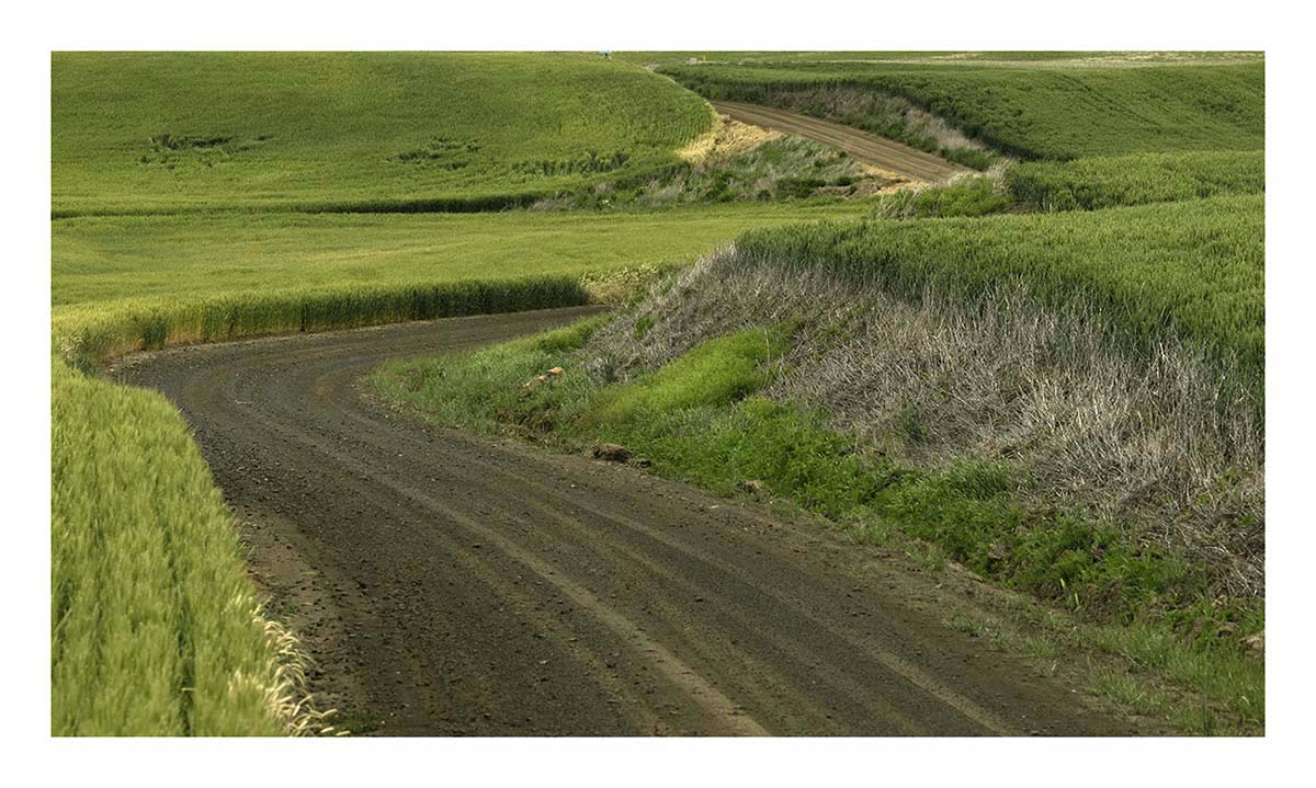 BCJ Spring in the Palouse