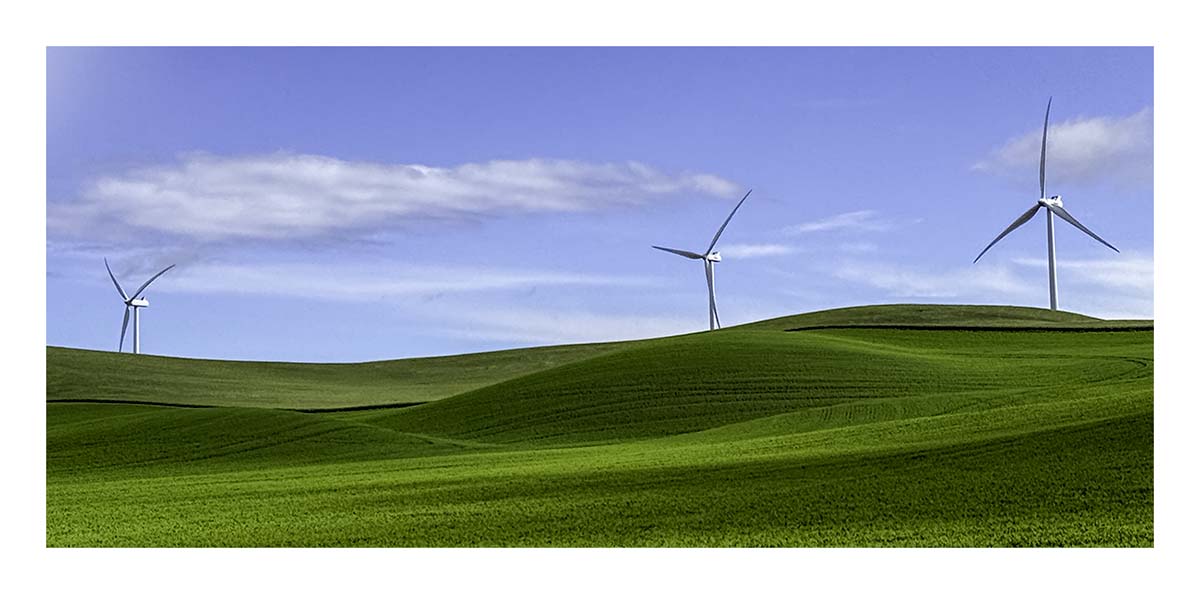 BCJ Spring in the Palouse