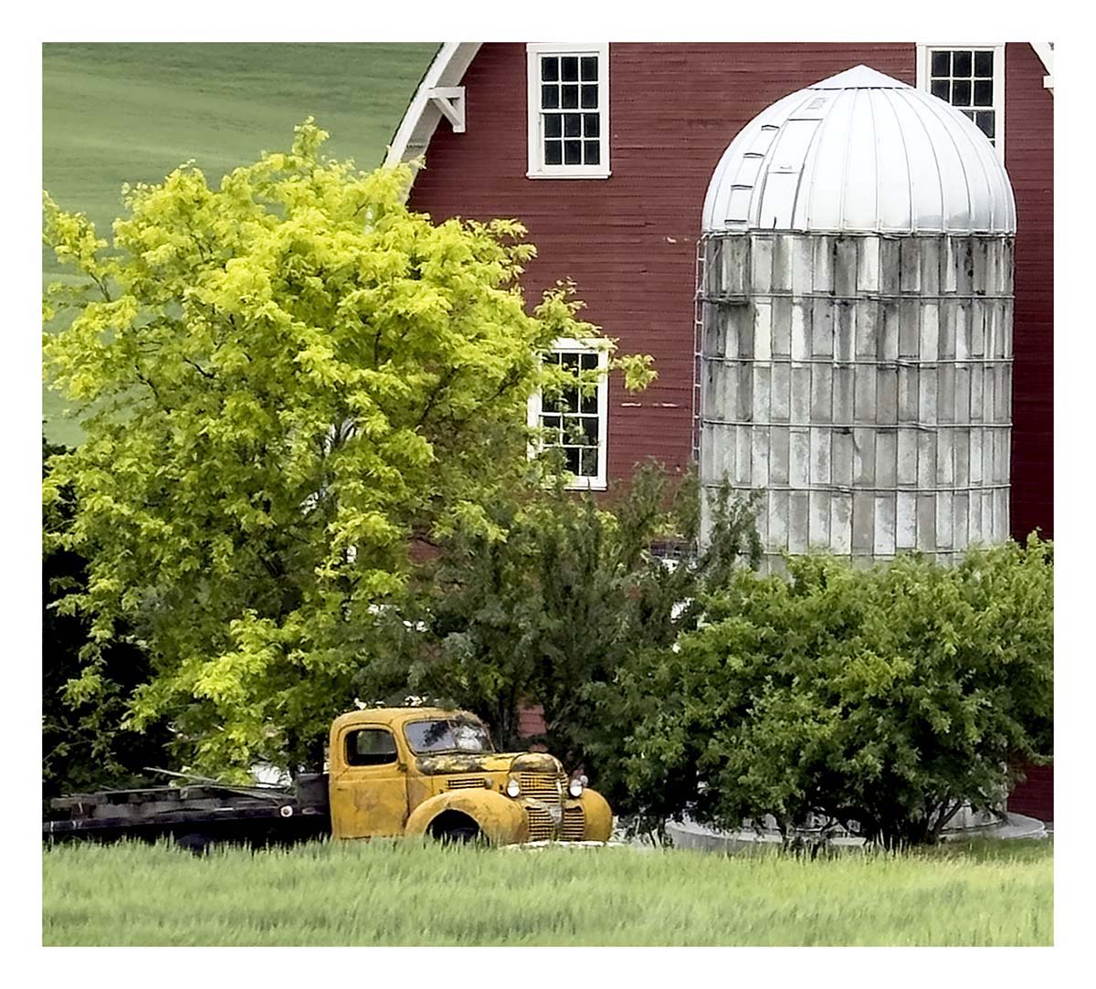 BCJ Spring in the Palouse