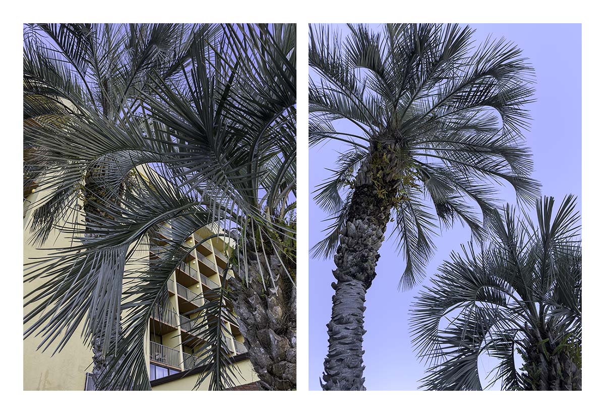 Florida West to East