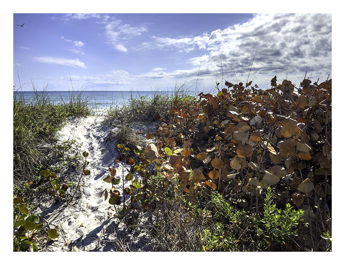 Florida West to East