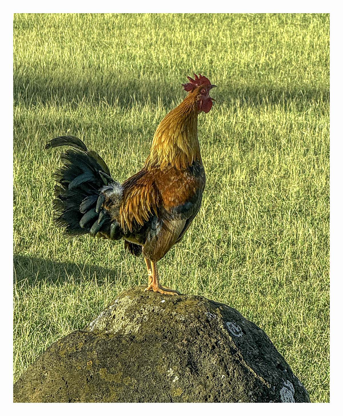 Kauai, Hawaii