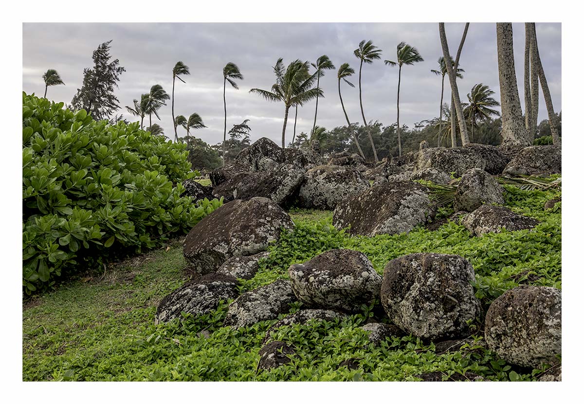 Kauai Museum