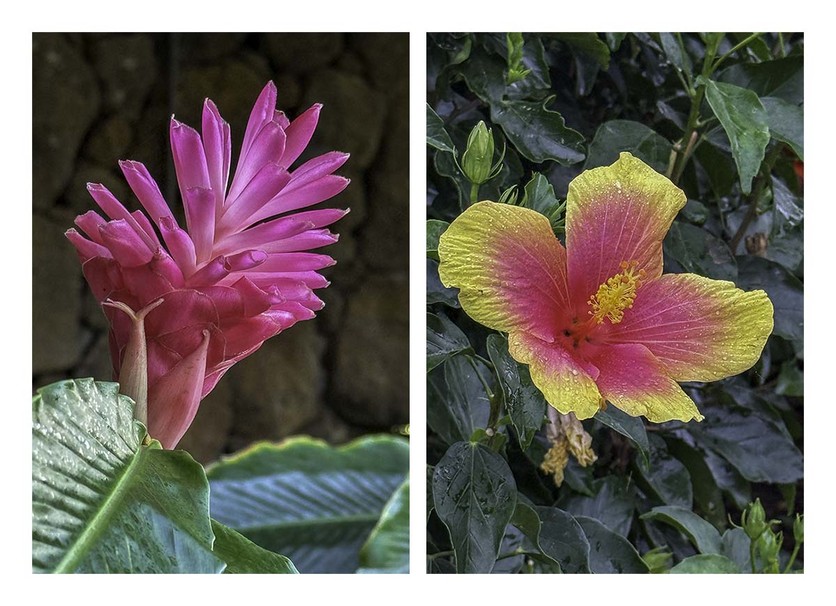Kauai, Hawaii