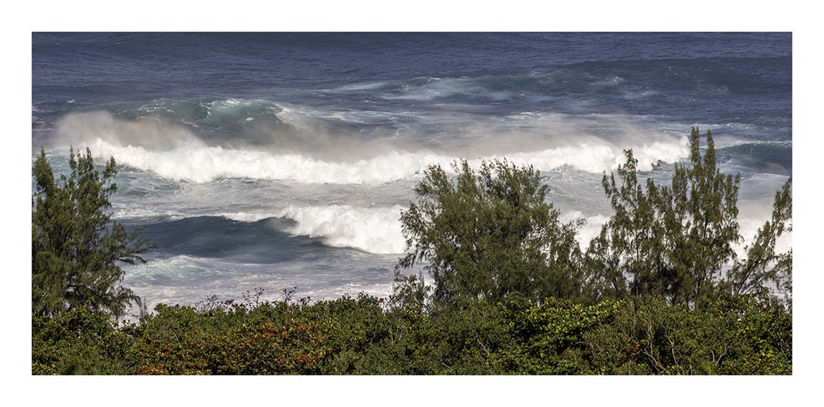 Kauai Museum
