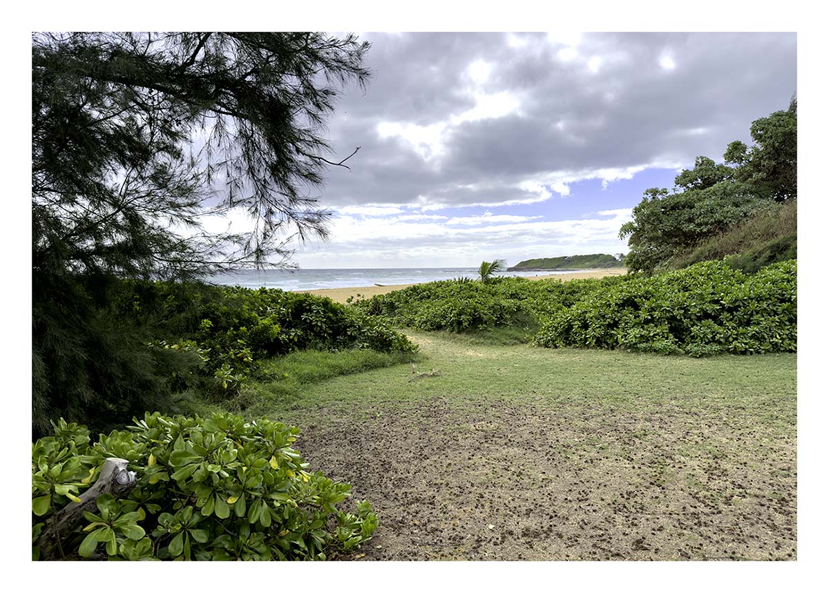 Kauai Museum