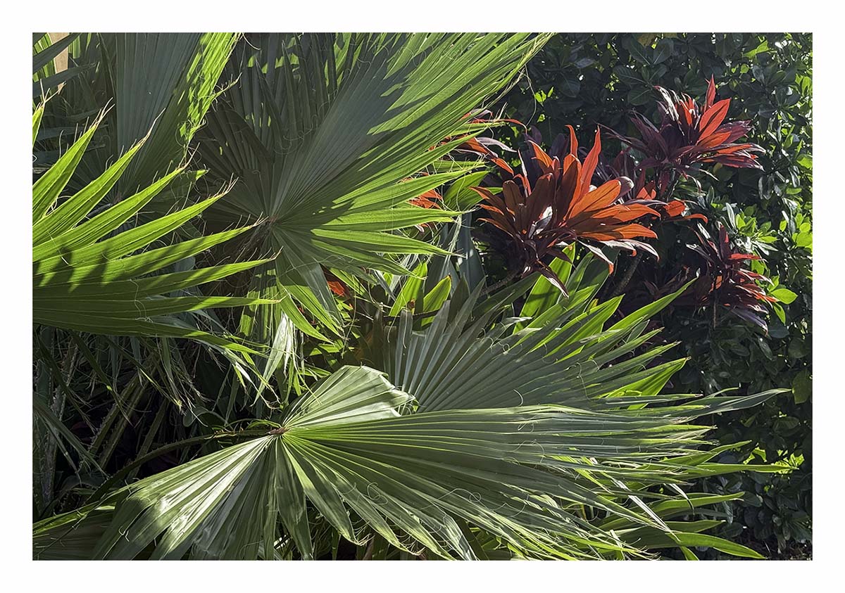 Kauai, Hawaii