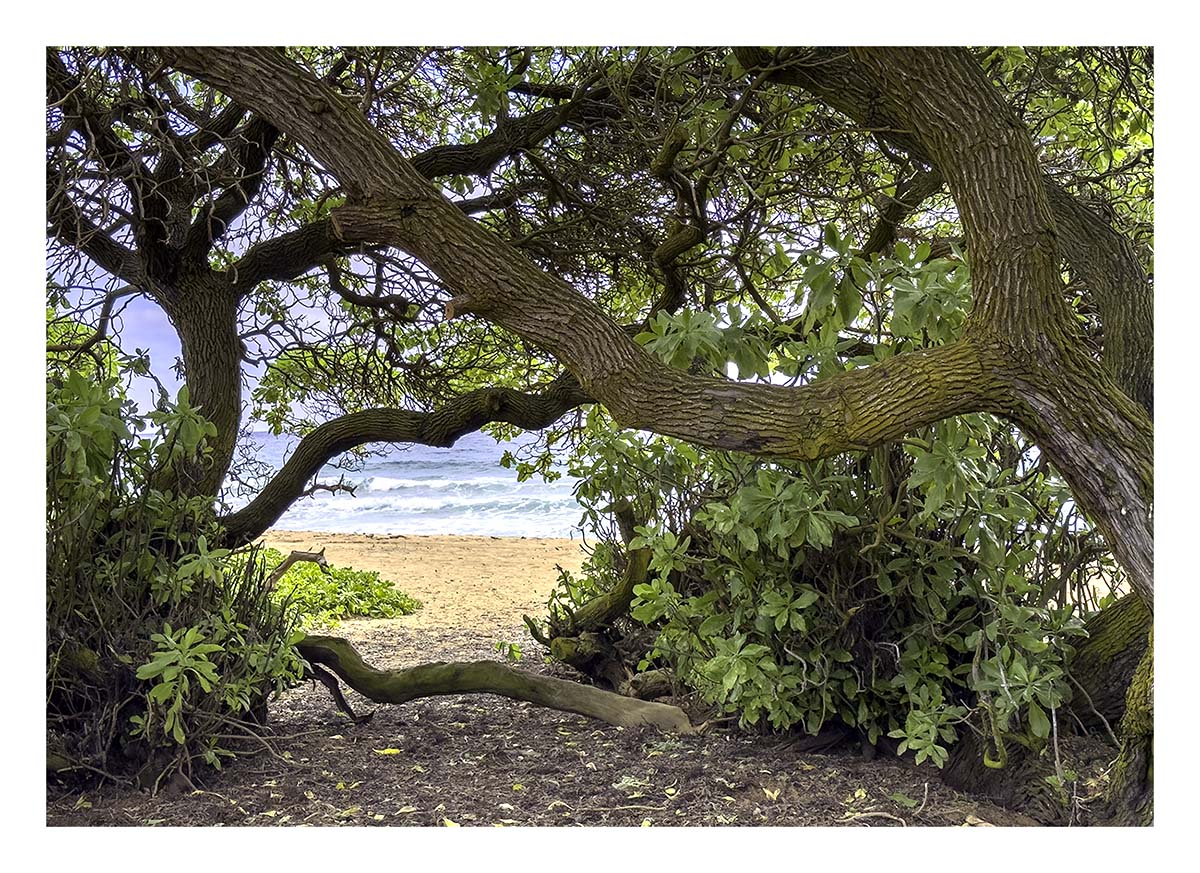Kauai, Hawaii