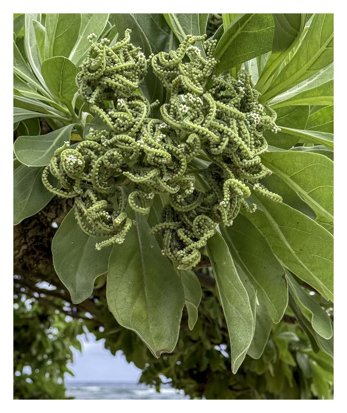Kauai, Hawaii