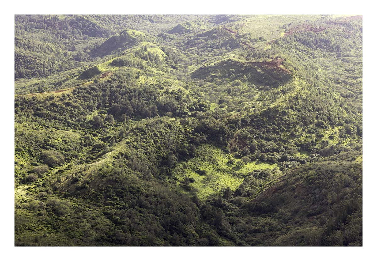 Kaua'i Hawai'i
