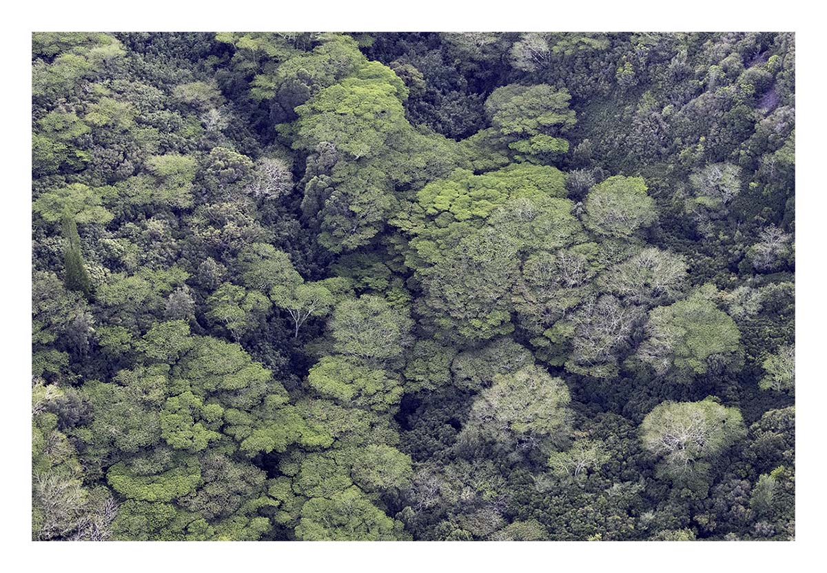 Kaua'i Hawai'i