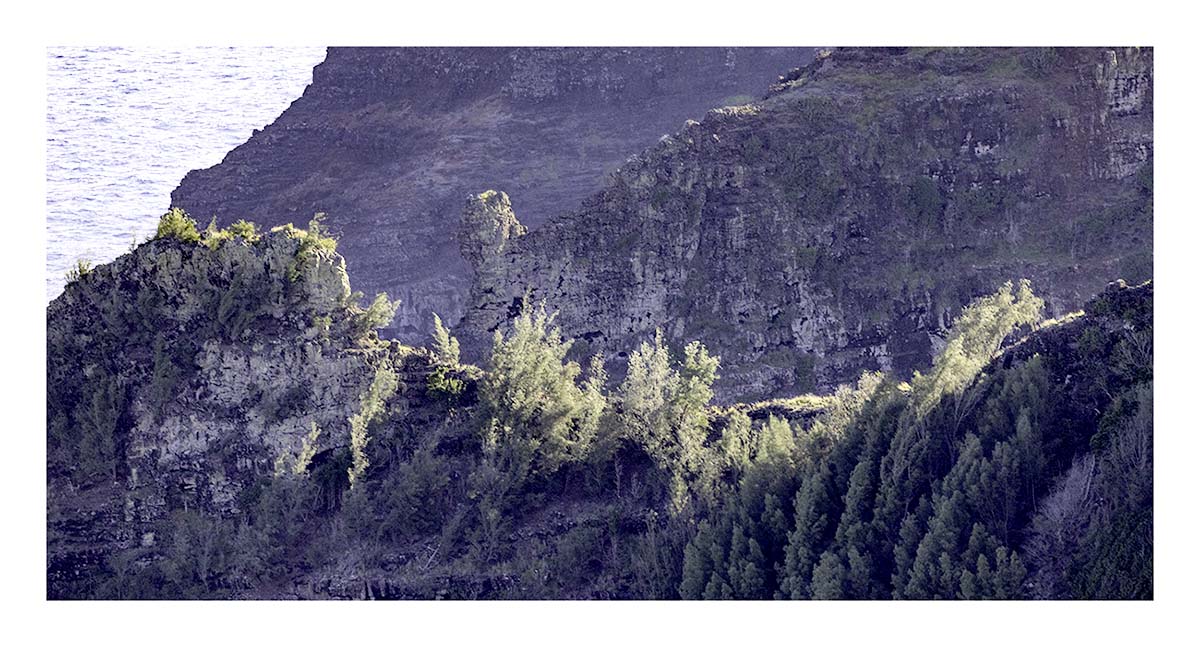 Kaua'i Hawai'i