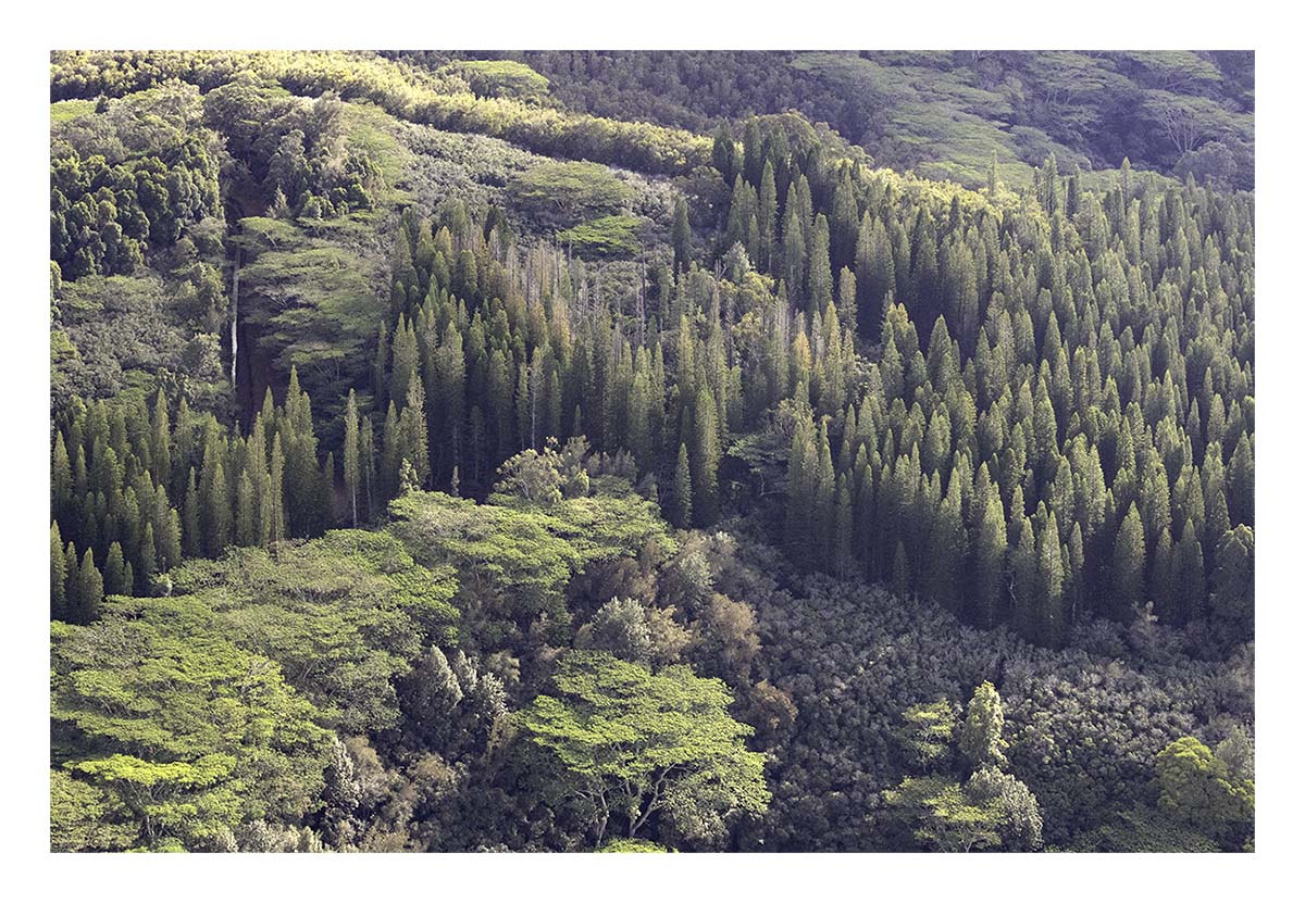 Kaua'i Hawai'i