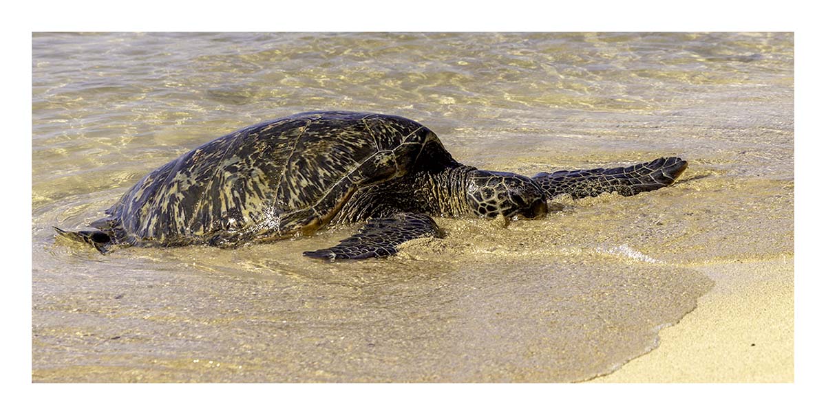 Kauai, Hawaii