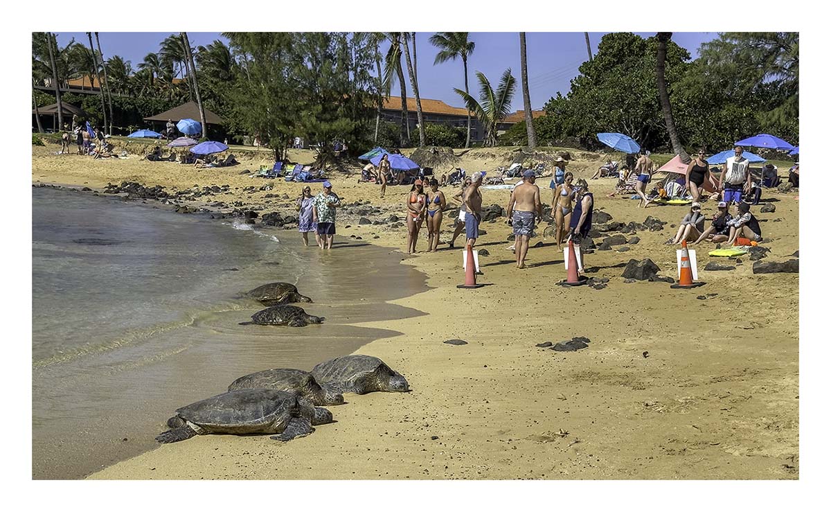 Kauai, Hawaii