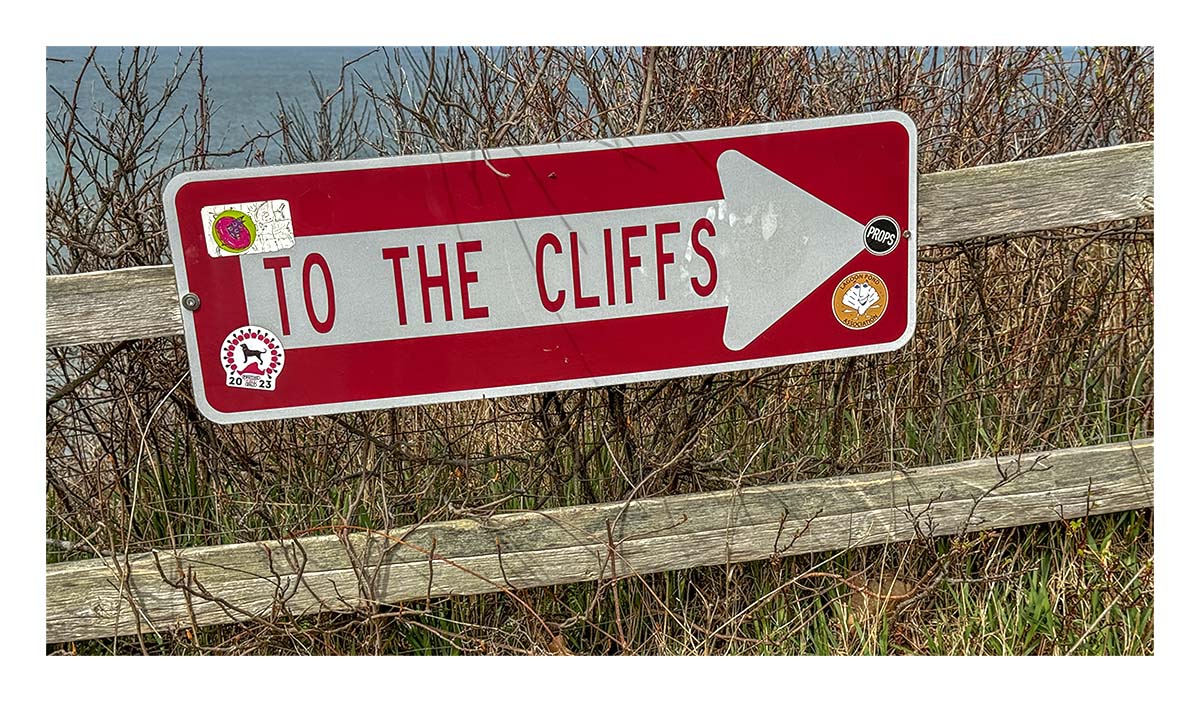 Marthas Vineyard