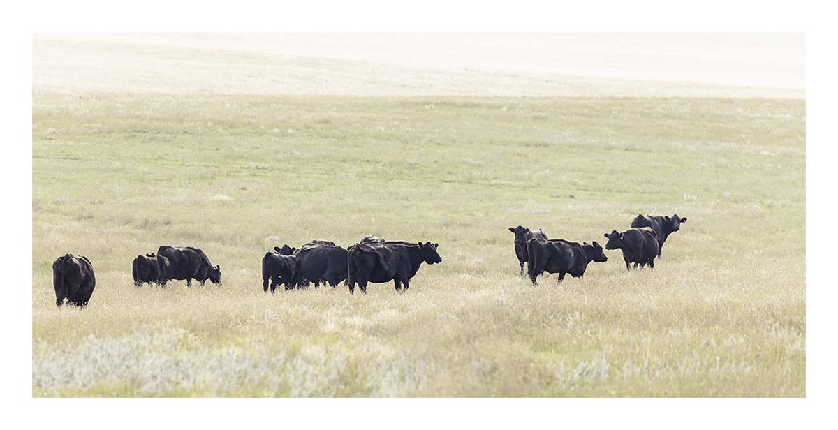 South Dakota