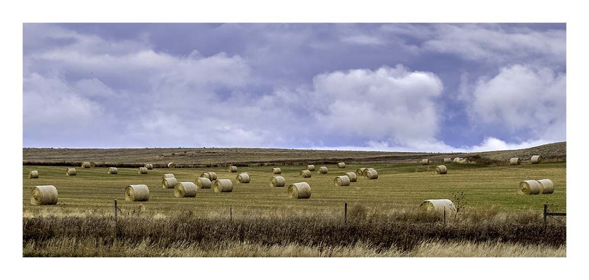 South Dakota