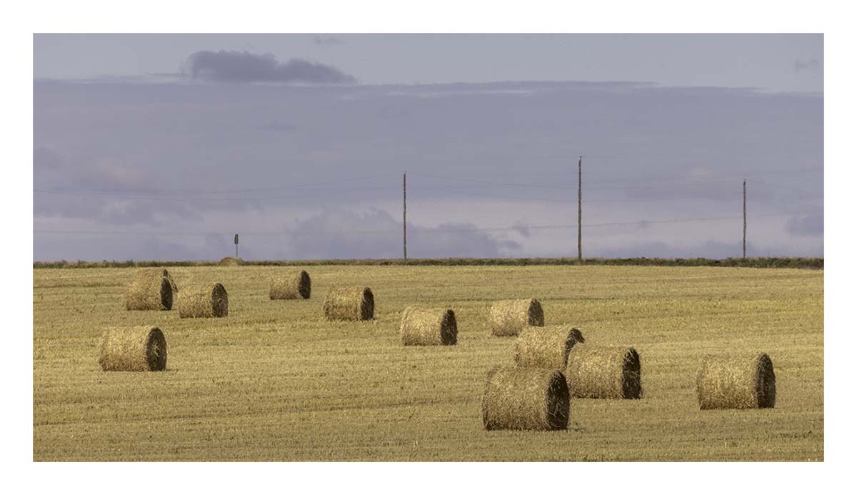 South Dakota