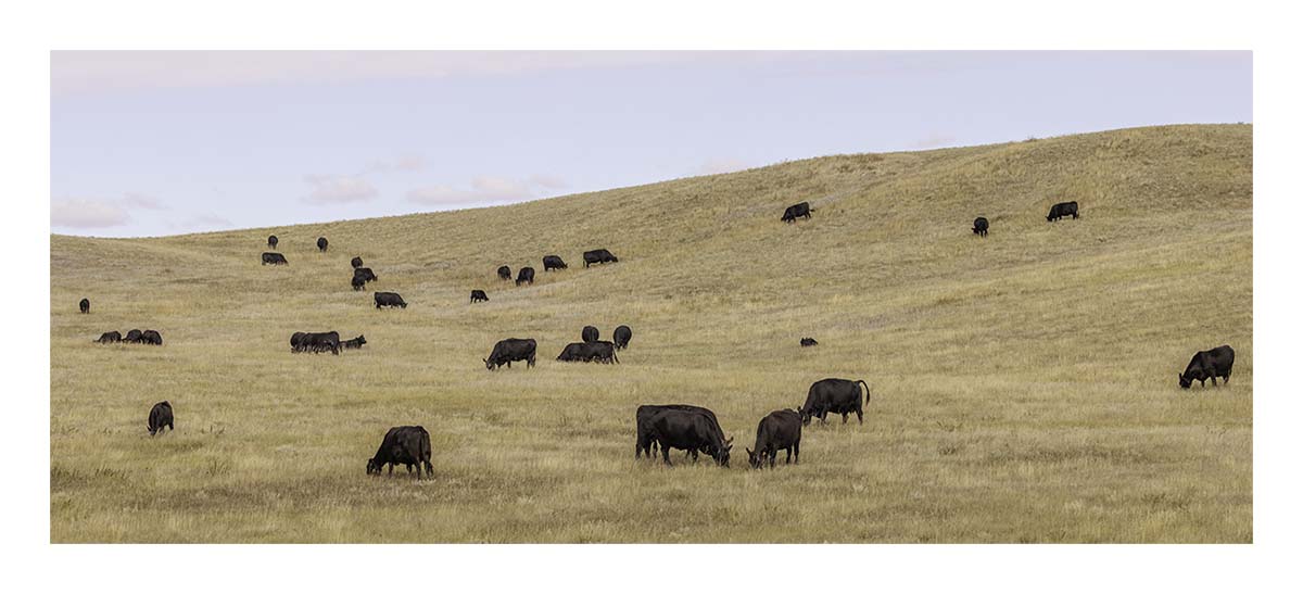 South Dakota