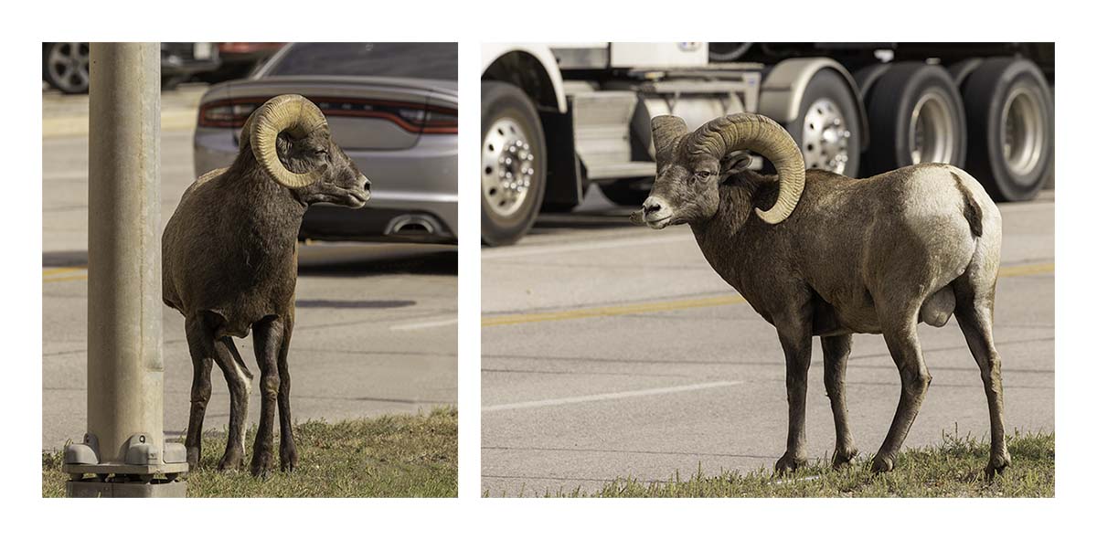 South Dakota
