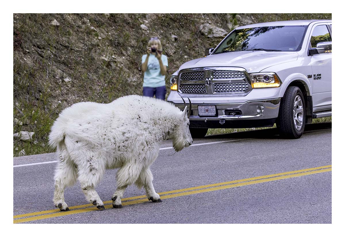 South Dakota