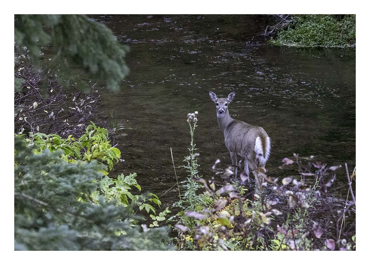 South Dakota