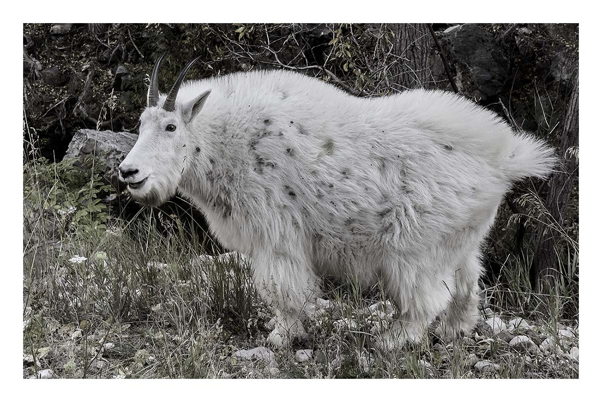 South Dakota