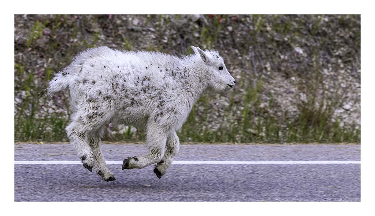 South Dakota