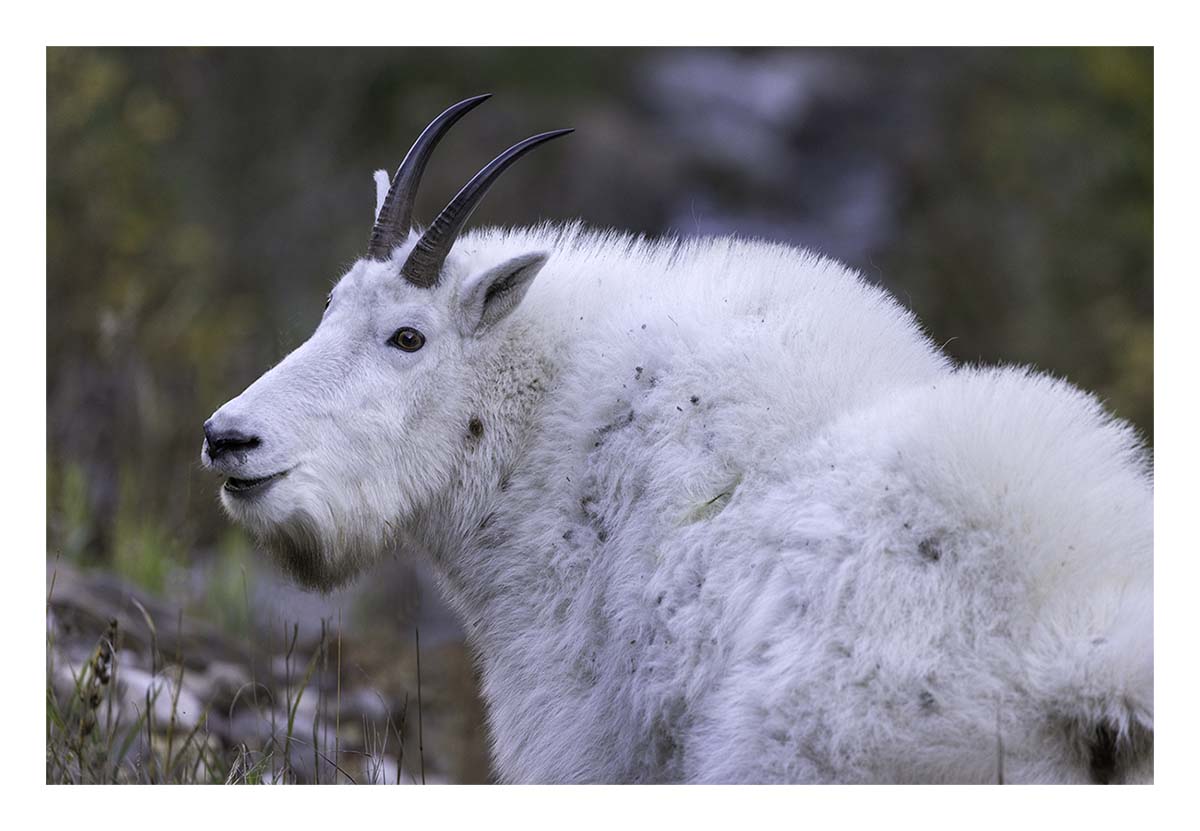 South Dakota