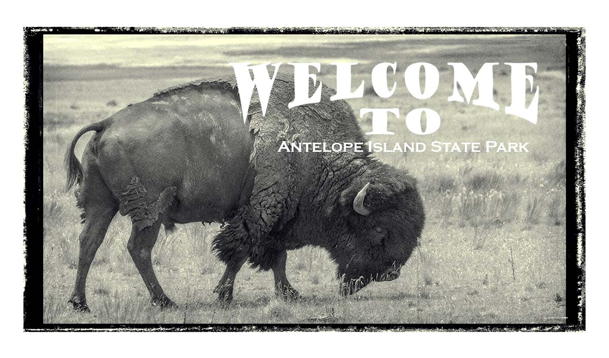 Antelope Island SP