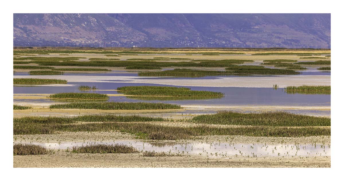 Antelope Island SP