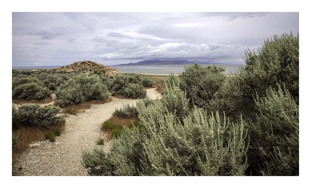 Antelope Island SP