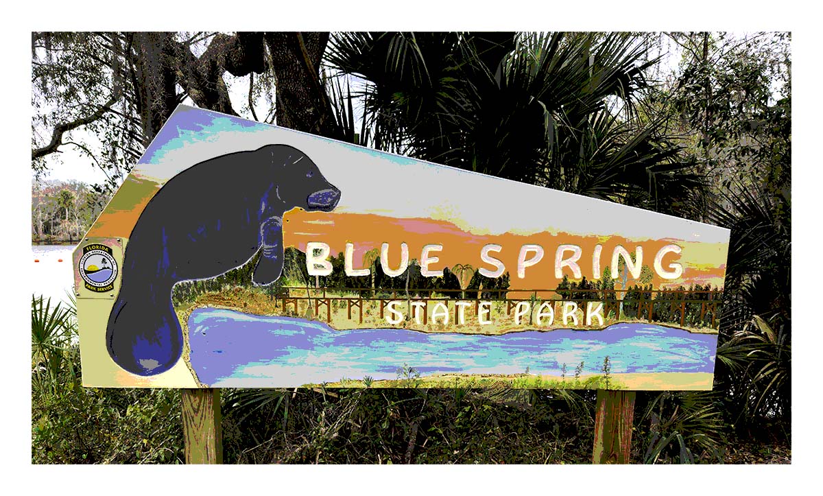 Blue Spring SP