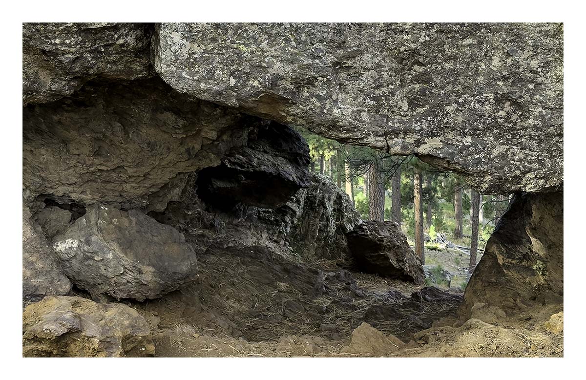 Custer State Park