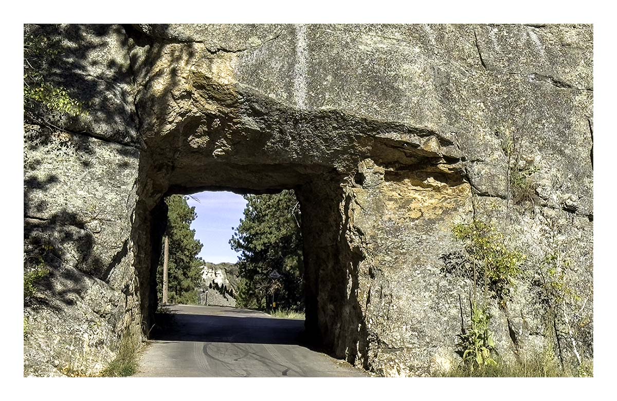 Custer State Park