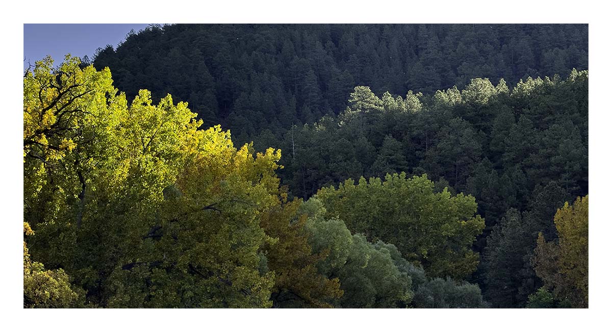 Custer State Park