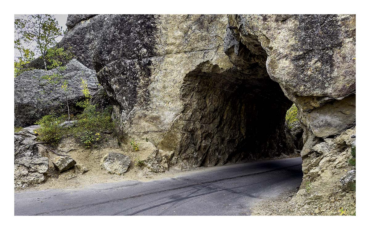 Custer State Park