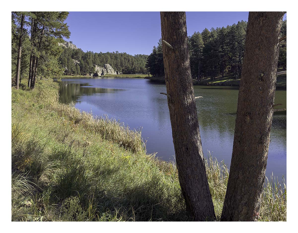 Custer State Park