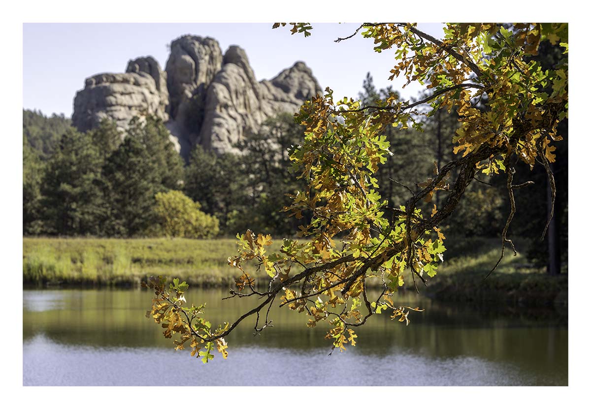 Custer State Park