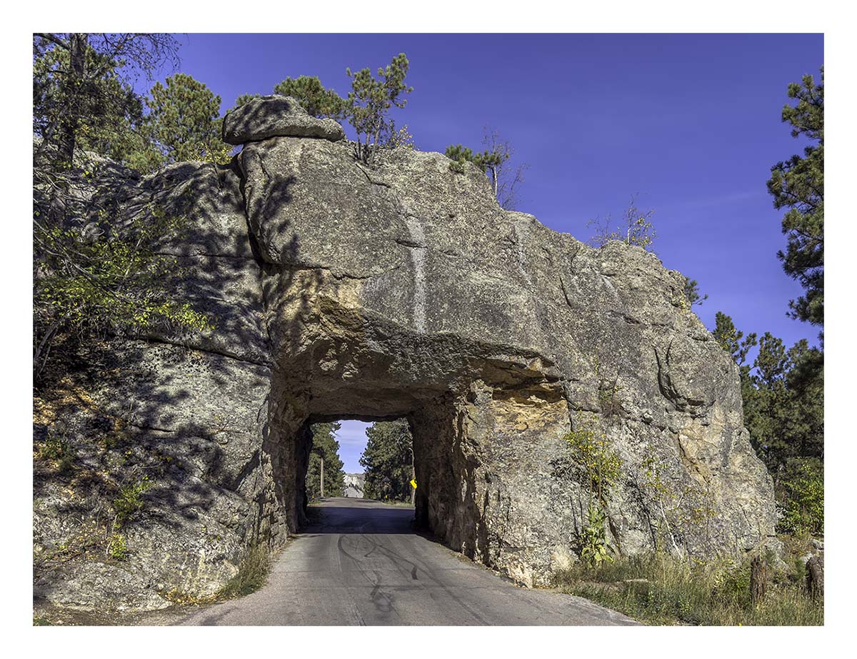 Custer State Park