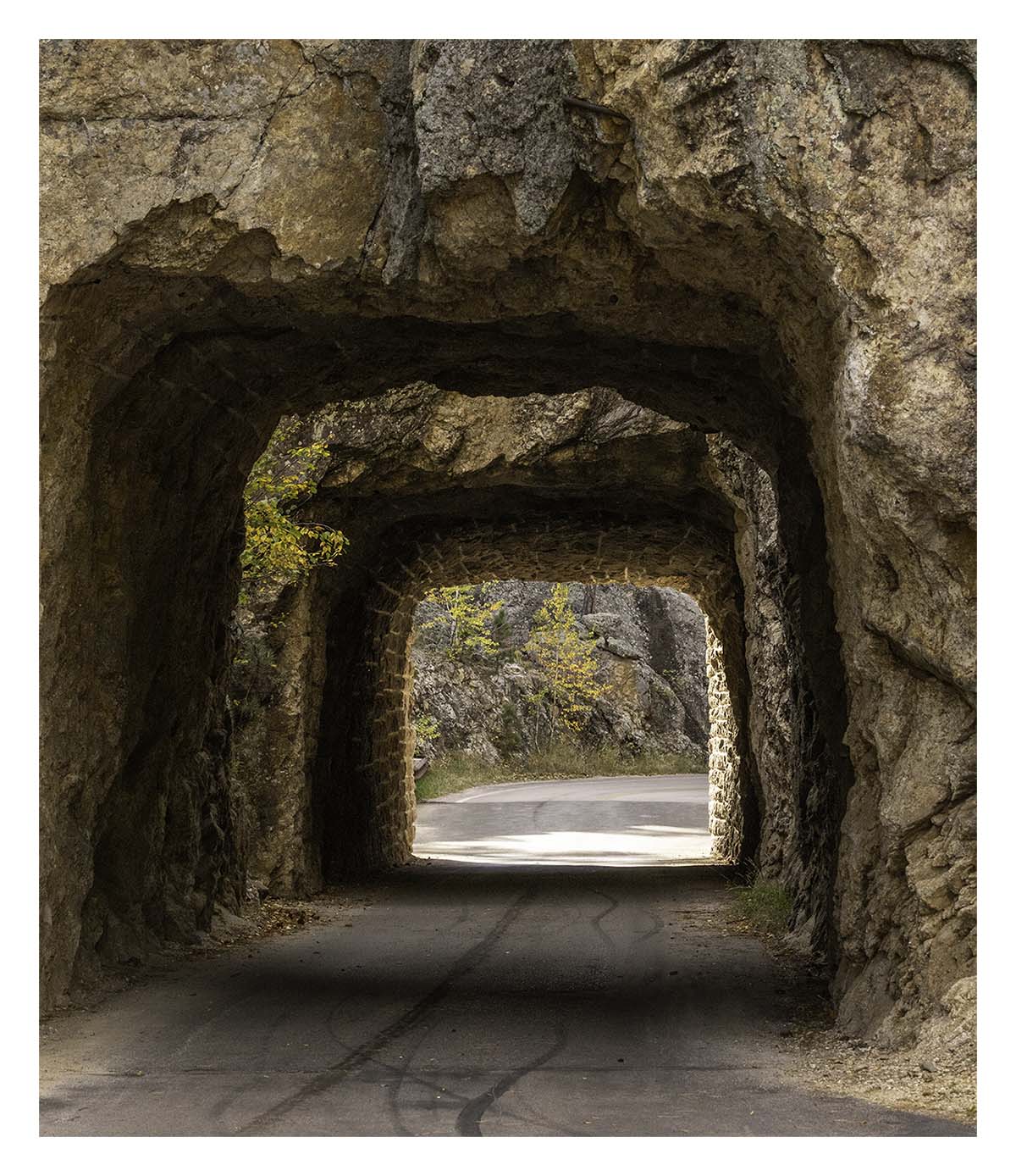 Custer State Park