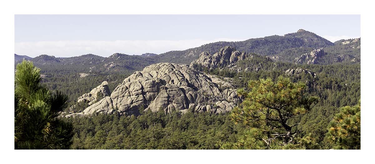 Custer State Park