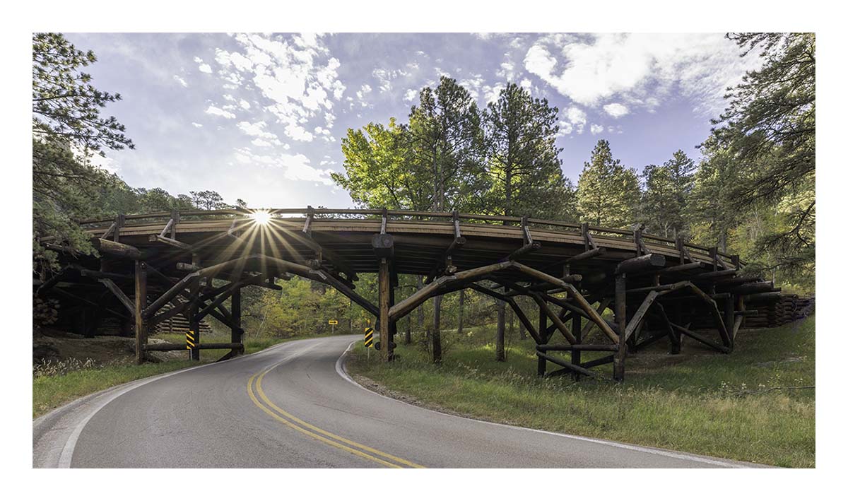 Custer State Park