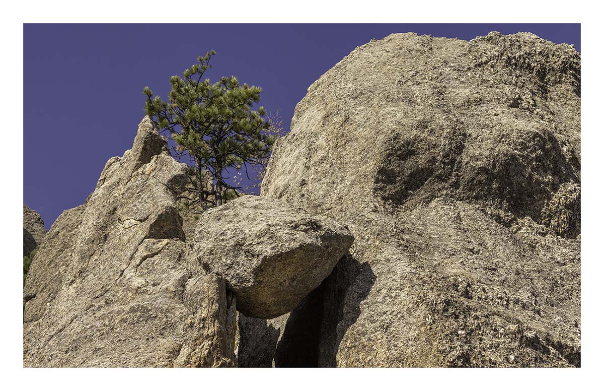 Custer State Park