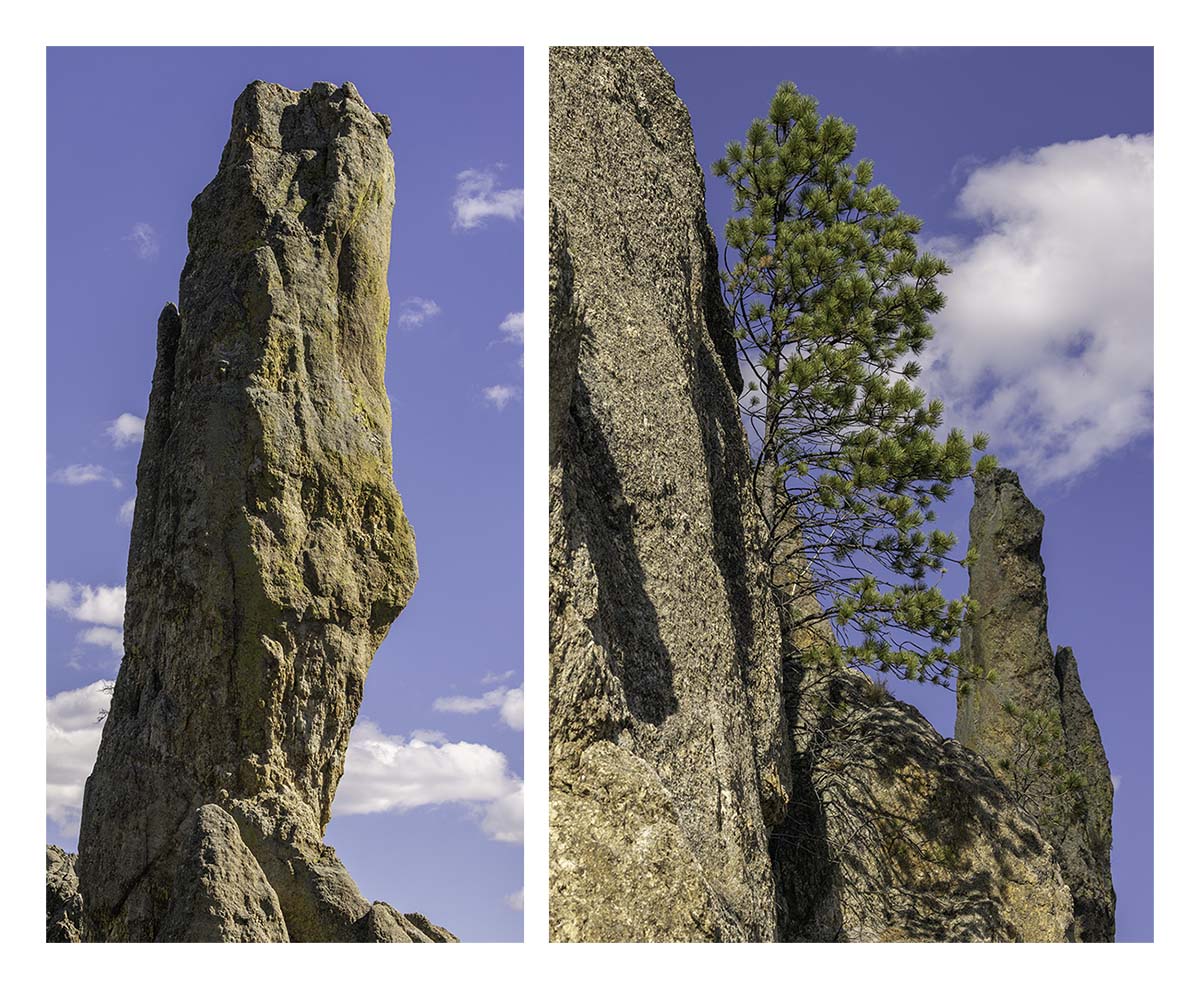 Custer State Park