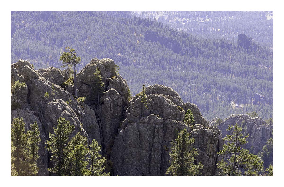 Custer State Park