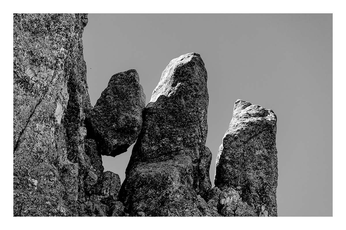 Custer State Park