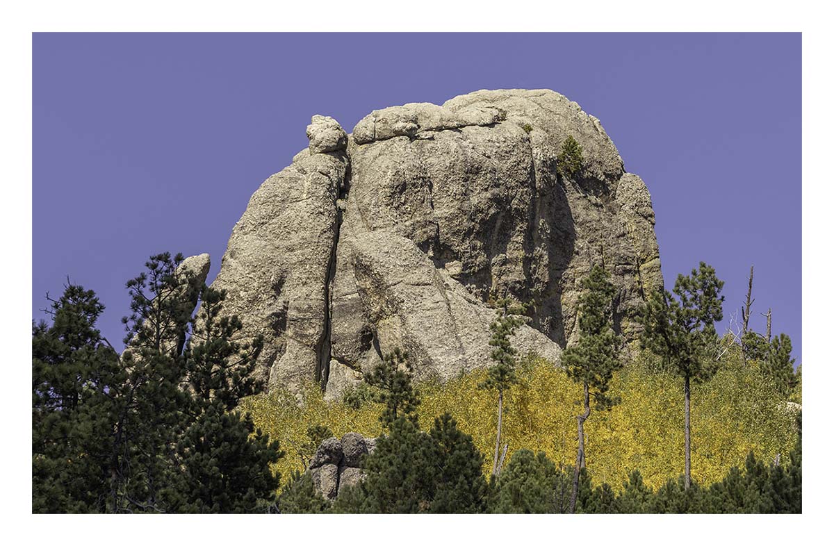 Custer State Park
